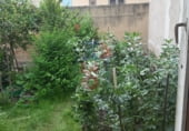 293m² commercial premises for sale in Miranda de Ebro photo