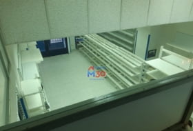 Foto 15
