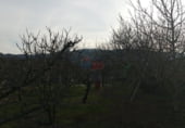 600m² entrepôt industriel pour vente à Miranda de Ebro photo
