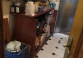 Bar
en venda
amb 95m² a Ferrol, a la zona de Ferrol foto