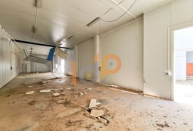 Foto 19