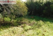 500m² entrepôt pour vente à Pontevedra photo
