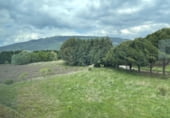 205m² office for sale in Pamplona, in the area of Casco Antiguo photo