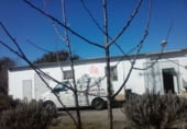 Nave Industrial en venta con 670m² en Segura de León, Pasaje LOS MARADARES, S/N foto