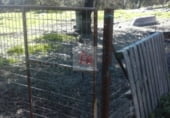 Nave Industrial en venta con 670m² en Segura de León, Pasaje LOS MARADARES, S/N foto