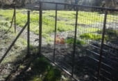 Nave Industrial en venta con 670m² en Segura de León, Pasaje LOS MARADARES, S/N foto