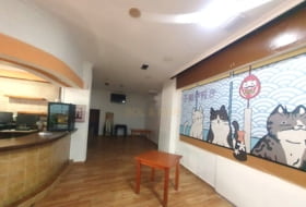 Foto 20