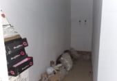 Edifici
en venda
amb 548m² a Castelló de la Plana, Calle Colon, 30 foto