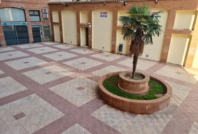 Foto 9