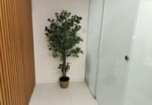 Oficina
en venda
amb 49m² a Castelló de la Plana foto