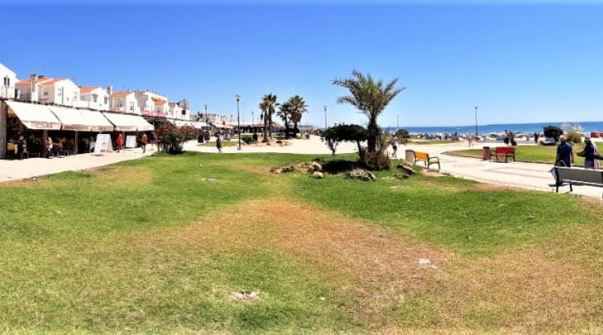 Local
