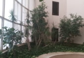 48m² offices for rent in Lérida, Plaza sant Joan photo