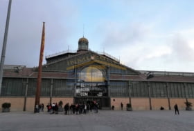 Foto 13