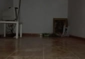 Local comercial
en lloguer
amb 80m² a Archidona foto