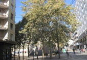 386m² office for rent in Vitoria-Gasteiz, in the area of Ensanche, Calle General Álava, 17 photo