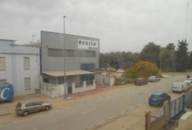 Foto 15