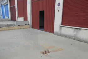 Foto 19