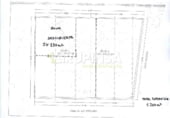 1200m² commercial premises for sale in Burriana photo