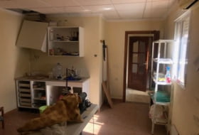 Foto 19