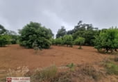 Local comercial en venta con 150m² en Tacoronte, en la zona de Barranco de las Lajas foto