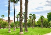 Local comercial en venta con 153m² en Castellón de la Plana foto