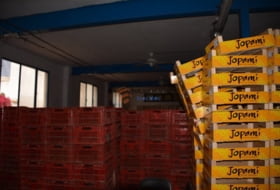 Foto 8