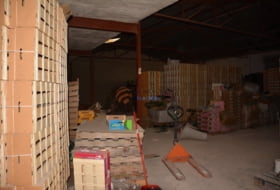 Foto 13