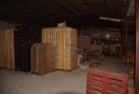 Foto 14