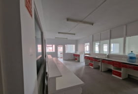 Foto 19