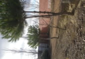 328m² warehouse industrial for sale in Villaumbrales, in the area of Cascon of the Plain photo