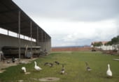 328m² warehouse industrial for sale in Villaumbrales, in the area of Cascon of the Plain photo