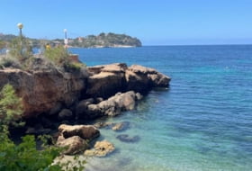 Foto 12