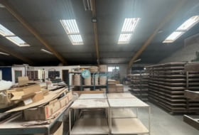 Foto 15