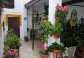 378m² restaurant for sale in Loja photo
