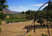 378m² restaurant for sale in Loja photo