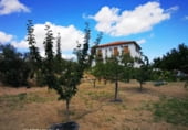 378m² restaurant for sale in Loja photo