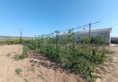 Nau
en venda
amb 450m² a Logronyo foto
