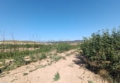 Nau
en venda
amb 450m² a Logronyo foto