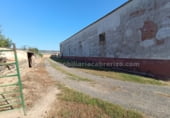 Nau
en venda
amb 450m² a Logronyo foto