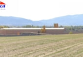 Nave Industrial en alquiler con 2072m² en Gemuño, POLÍGONO, 505 foto