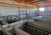  warehouse for sale in Azuaga photo