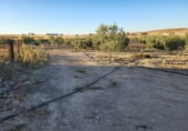 warehouse for sale in Azuaga photo