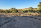  warehouse for sale in Azuaga photo