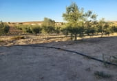  warehouse for sale in Azuaga photo