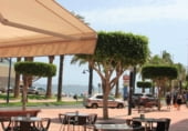 771m² restaurant, hotel for sale in San Javier, Calle Muñoz photo