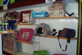 Foto 6