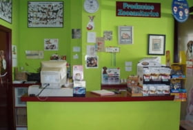 Foto 12