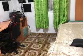 Foto 12