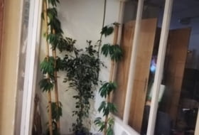 Foto 7