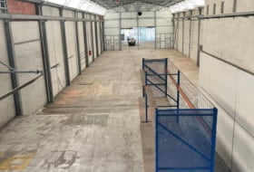 Foto 8